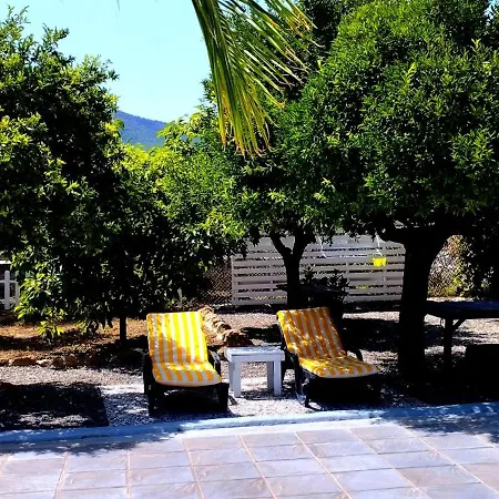 Holiday home El Aulagar *
